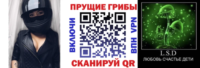 Псилоцибиновые грибы прущие грибы  что такое наркотик  Артём 